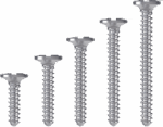 Tornillo osteogénesis de cabeza ancha - Imagen 2